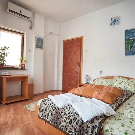 Pensiunea Caramida Guest house 2*