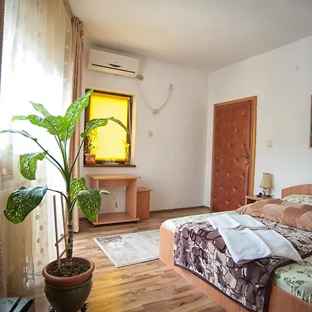 Pensiunea Caramida Guest house 2*