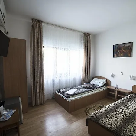 Guest house Pensiunea Caramida
