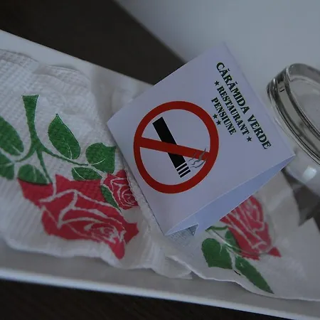 ゲストハウス Pensiunea Caramida