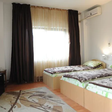 Guest house Pensiunea Caramida Craiova