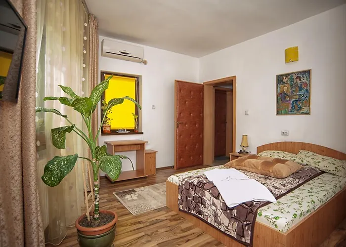 Pensiunea Caramida Craiova