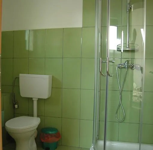 Pensiunea Caramida 3*