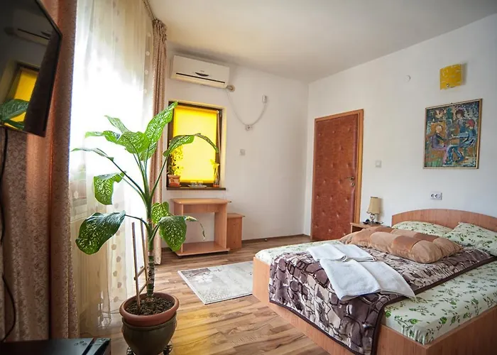 Pensiunea Caramida Guest house 3*