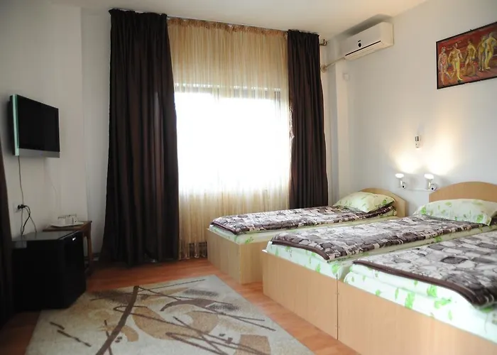 Guest house Pensiunea Caramida Craiova