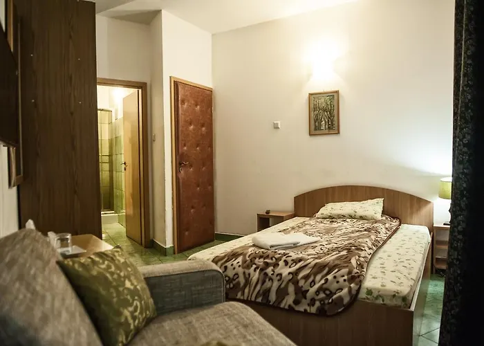 Guest house Pensiunea Caramida